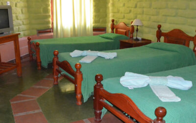 Doble Twin Estándar